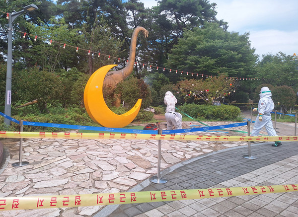 Fifteen Tourists Stung by Wasp Swarm Near Cable Car in Busan’s Songdo Area 케이블카 타러 갔다 말벌 떼 ‘날벼락…부산 송도서 관광객 15명 쏘여 2.jpg
